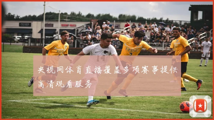 央视网体育直播覆盖多项赛事提供高清观看服务