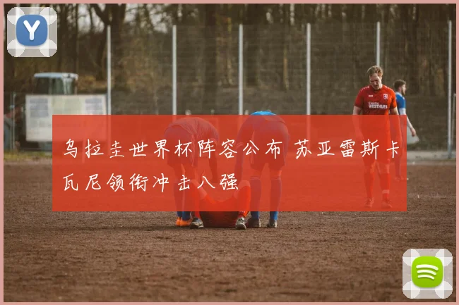 乌拉圭世界杯阵容公布 苏亚雷斯卡瓦尼领衔冲击八强